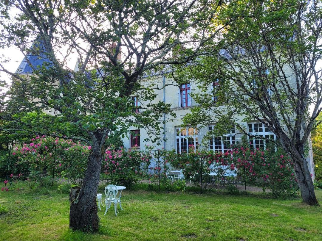 Castel Saint Laurent Langeais Zewnętrze zdjęcie