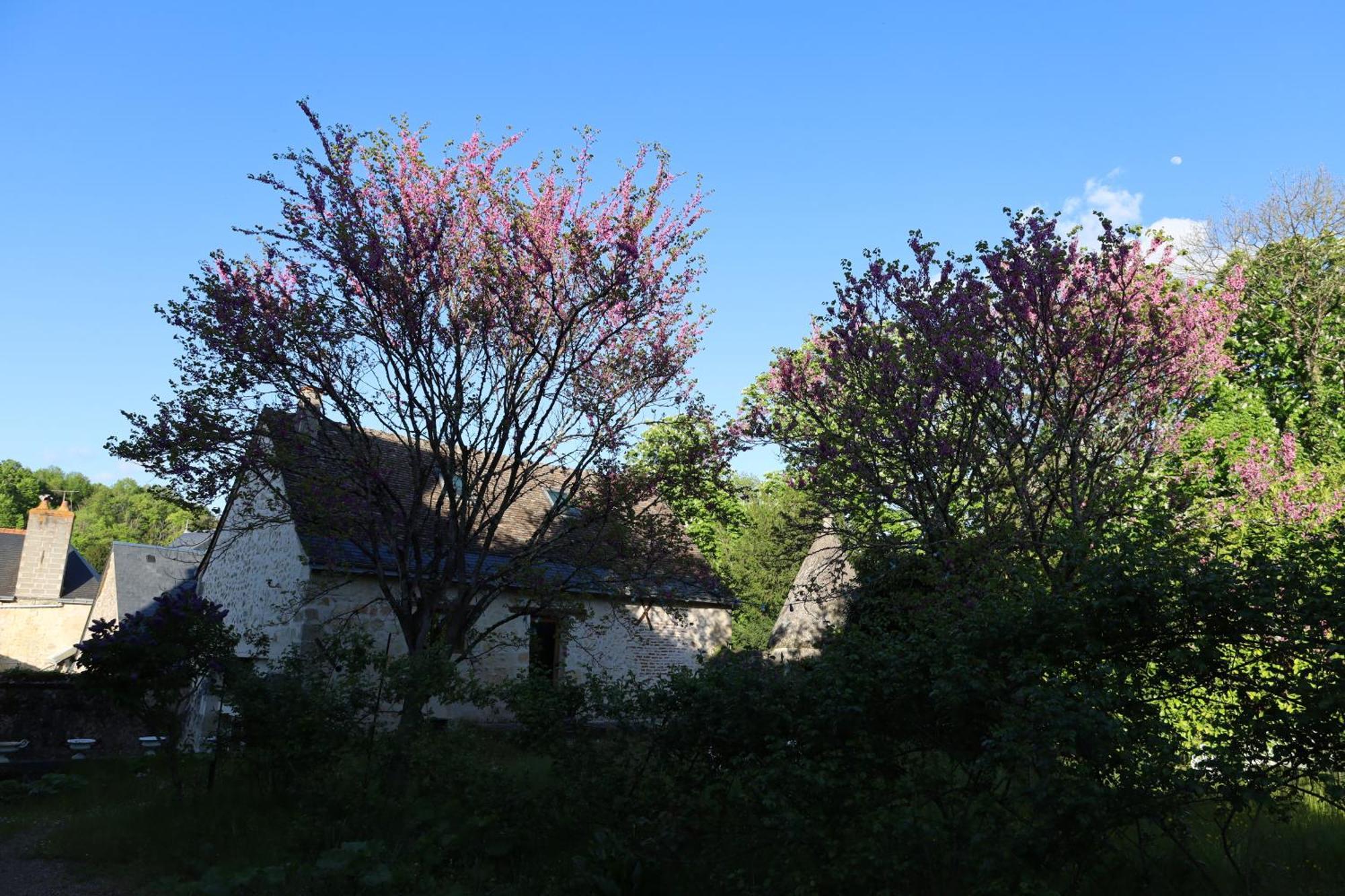 Castel Saint Laurent Langeais Zewnętrze zdjęcie